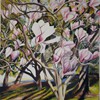 Pink Magnolia, 16x 12, gouache on paper